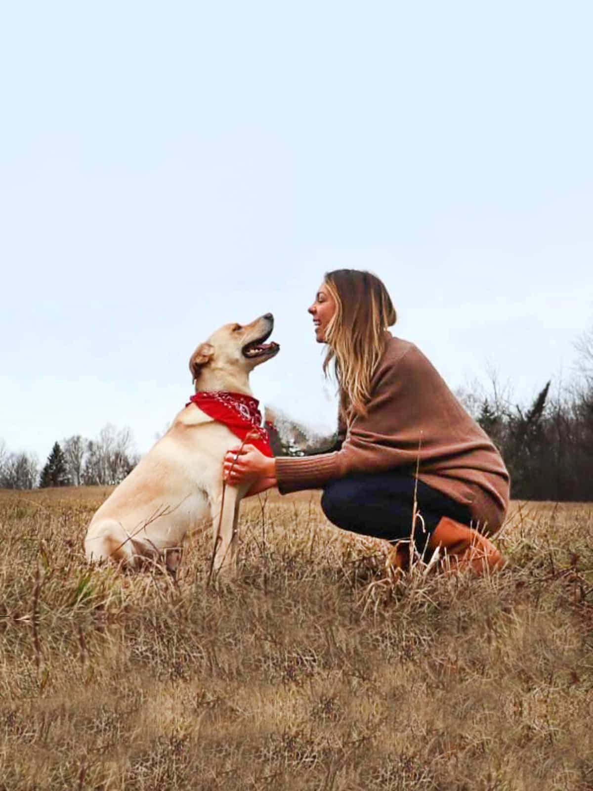 For-About-Slideshow---Chocolate-Dog-1-2-Lighter-Vertical