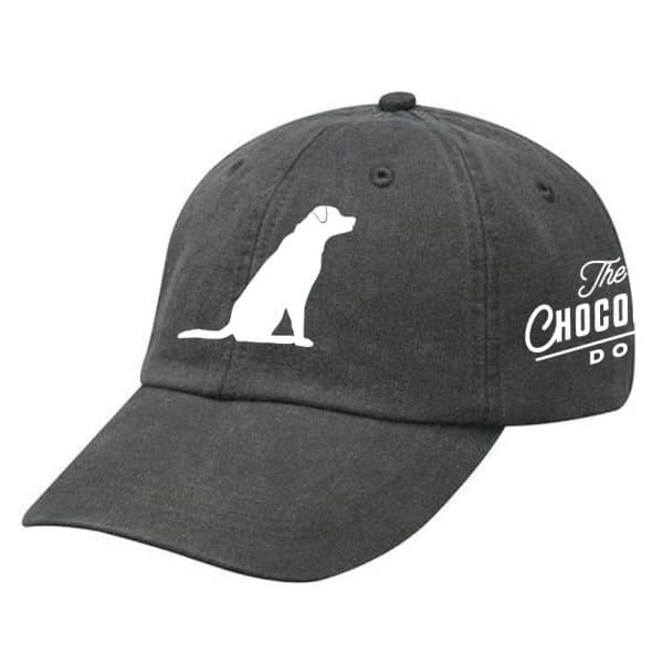 Embroidered Dad Hat - Charcoal