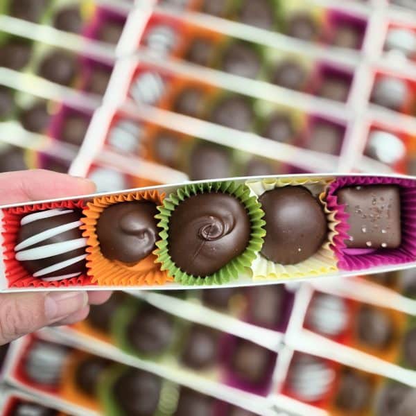 The Chocolate Dog Sampler