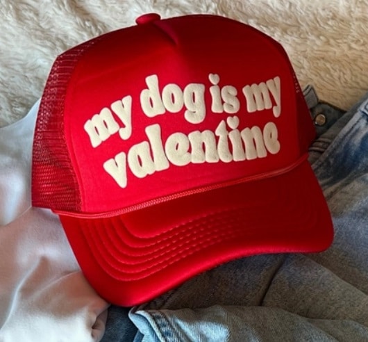 My Dog Is My Valentine Valentine's Day Hat