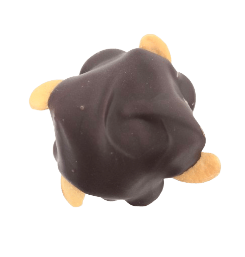 Milk Chocolate Cashew Turtles